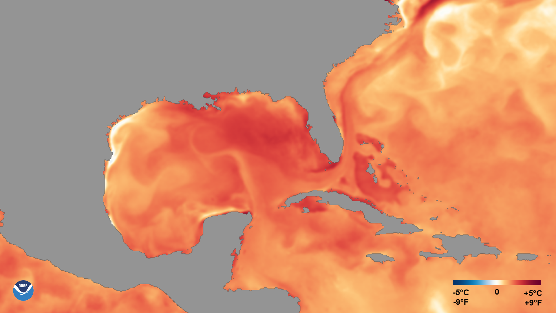 Grafik mit Temperatabweichungen in der Karibik und im Atlantik. Weite Teile sind bis über 5 Grad zu warm. Quelle: NOAA