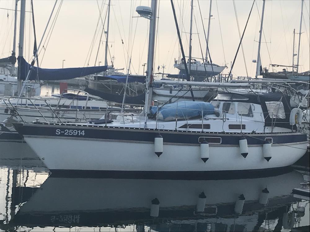 TransOcean e.V. > Aktivitäten > Schiff