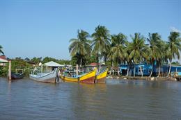 Sightseeing und Flusskreuzfahrt in Suriname