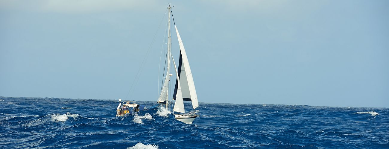 Rolling-Home-Kampagne des Trans-Ocean e.V.