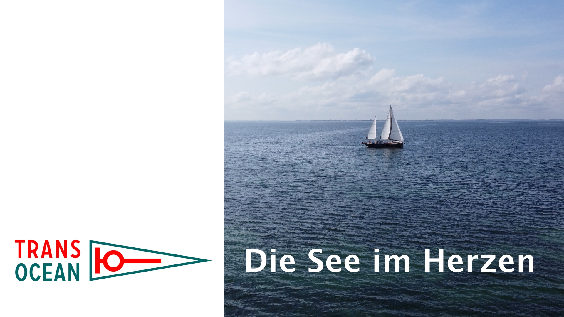 Image-Video anzeigen